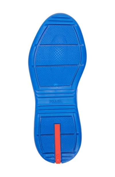 Shop Prada America's Cup Low Top Sneaker In Azzurro