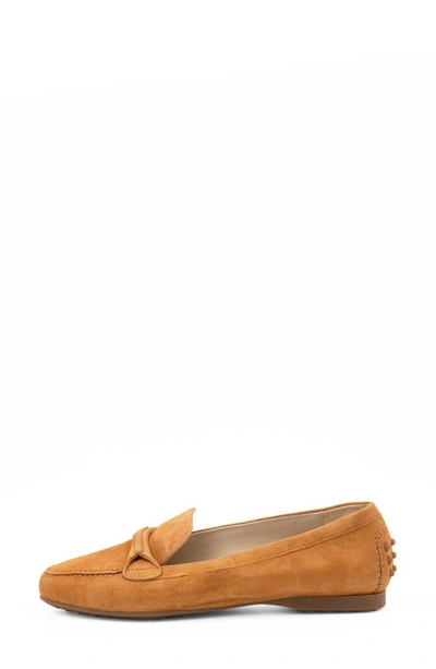 Shop Amalfi By Rangoni Dicondra Loafer In Whiskey Cashmere