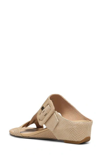 Donald Pliner Ofelia Sandal In Sand