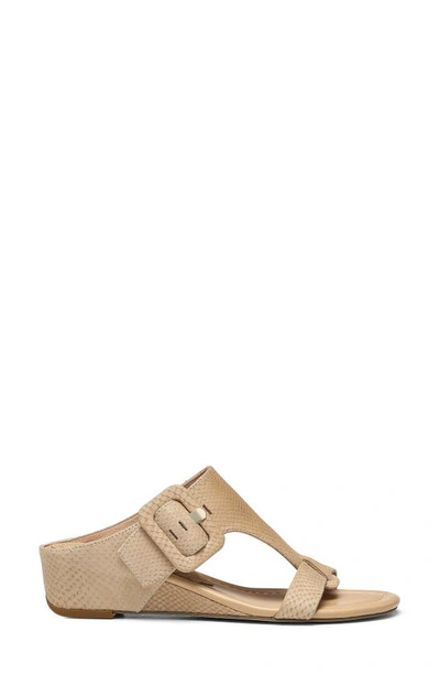 Donald Pliner Ofelia Sandal In Sand