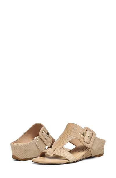 Donald Pliner Ofelia Sandal In Sand
