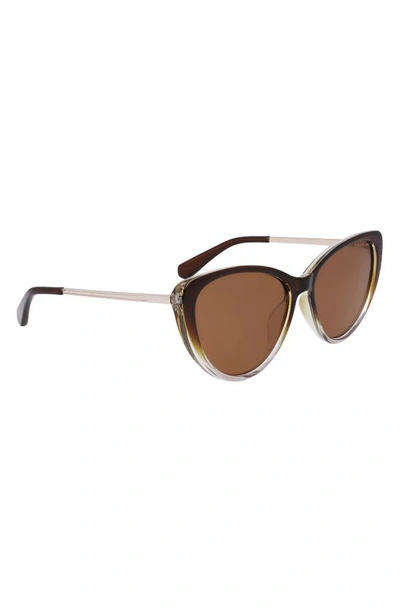 Cole Haan 54mm Polarized Cat Eye Sunglasses In Taupe Gradient