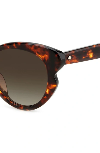 Shop Kate Spade 53mm Elina/g/s Round Sunglasses In Havana/ Brown Gradient