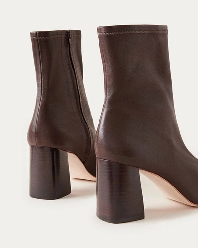 Shop Loeffler Randall Elise Chocolate Stretch Bootie In Brown