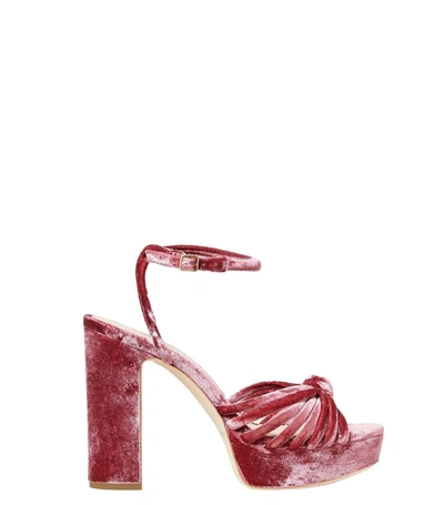 Shop Loeffler Randall Rivka Rose Knot Platform Sandal In Pink