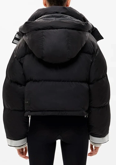 Shop Shoreditch Ski Club Willow Short Puffer Jacket In Black