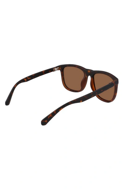 Cole Haan 58mm Plastic Rounded Square Polaized Sunglasses In Tortoise