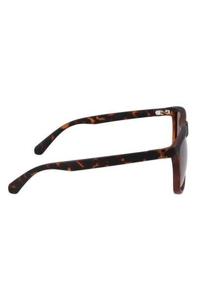 Cole Haan 58mm Plastic Rounded Square Polaized Sunglasses In Tortoise