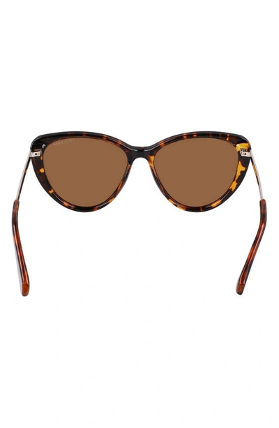 Cole Haan 54mm Polarized Cat Eye Sunglasses In Tortoise