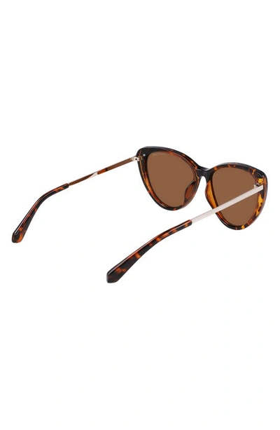 Shop Cole Haan 54mm Polarized Cat Eye Sunglasses In Tortoise