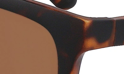 Cole Haan 58mm Plastic Rounded Square Polaized Sunglasses In Tortoise