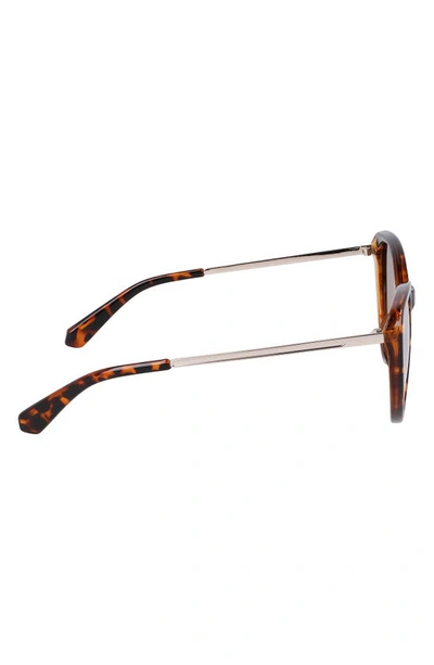 Cole Haan 54mm Polarized Cat Eye Sunglasses In Tortoise