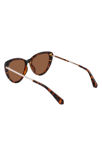 Shop Cole Haan 54mm Polarized Cat Eye Sunglasses In Tortoise