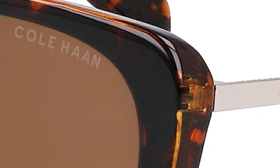 Cole Haan 54mm Polarized Cat Eye Sunglasses In Tortoise
