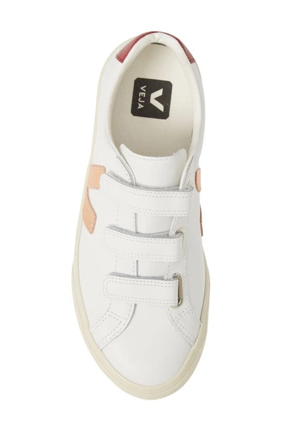 Shop Veja Esplar 3-lock Sneaker In Extra-white/ Venus/ Marsala