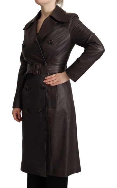 Shop Dolce & Gabbana Dark Brown Leather Long Sleeves Belted Women's Jacket