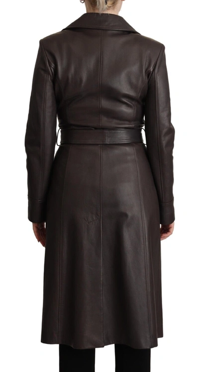 Shop Dolce & Gabbana Dark Brown Leather Long Sleeves Belted Women's Jacket