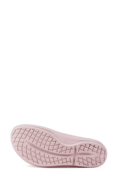 Shop Oofos Oolala Flip Flop In Stardust