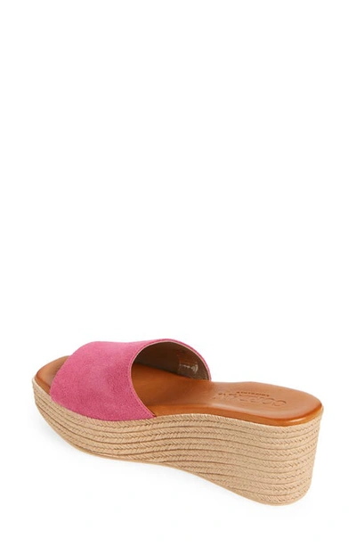 Shop Cordani Bibi Espadrille Wedge Slide Sandal In Fucshia Suede