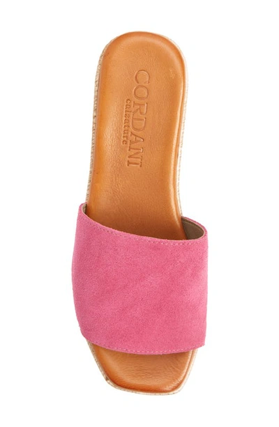 Shop Cordani Bibi Espadrille Wedge Slide Sandal In Fucshia Suede