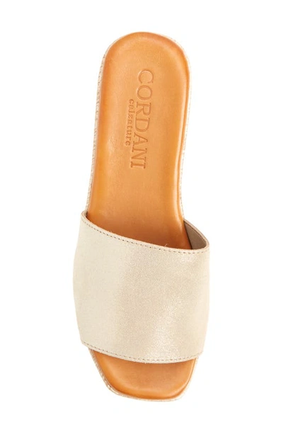 Shop Cordani Bibi Espadrille Wedge Slide Sandal In Soft Gold Suede