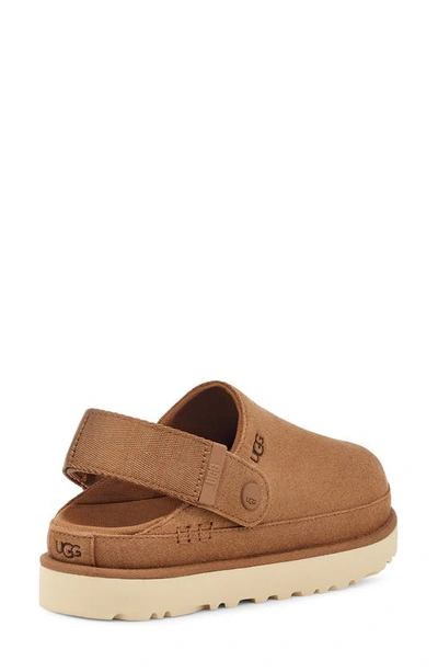 Shop Ugg Goldenstar Clog In Chestnut