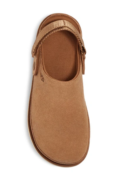 Ugg Goldenstar Suede Clogs In Chestnut