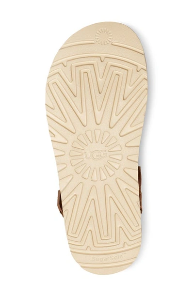 Ugg Goldenstar Suede Clogs In Chestnut