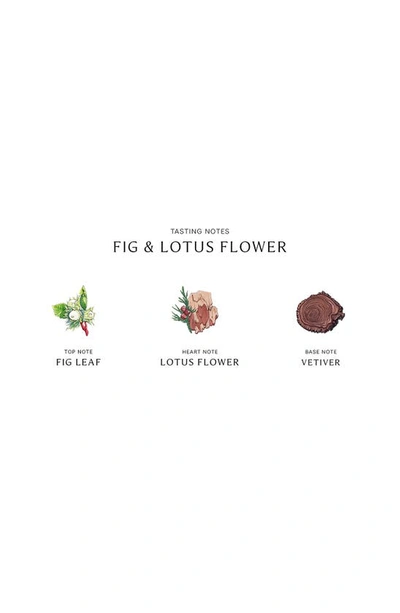 Shop Jo Malone London Fig & Lotus Flower Cologne, 3.4 oz