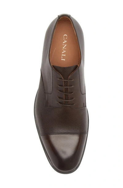 Shop Canali Perforated Plain Cap Toe Derby In Brown