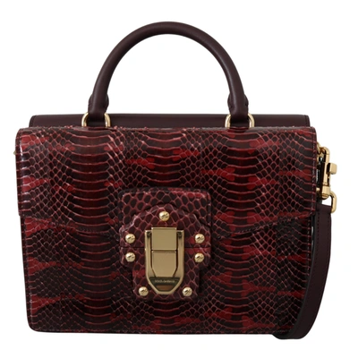 Shop Dolce & Gabbana Bordeaux Snakeskin Leather Shoulder Lucia Women's Purse In Black