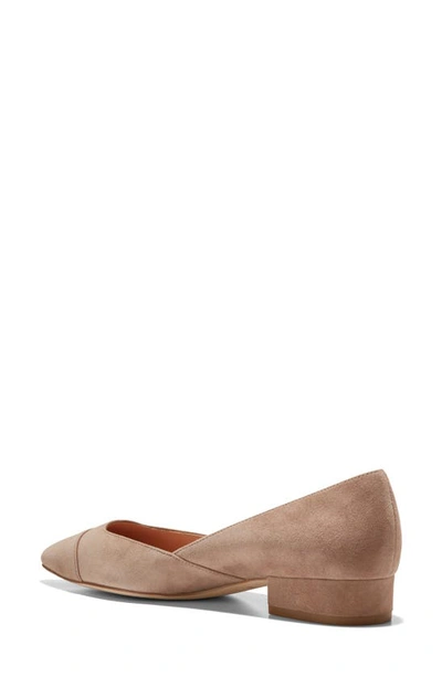 Shop Cole Haan Vanessa Pointed Toe Skimmer In Lt Whiskey