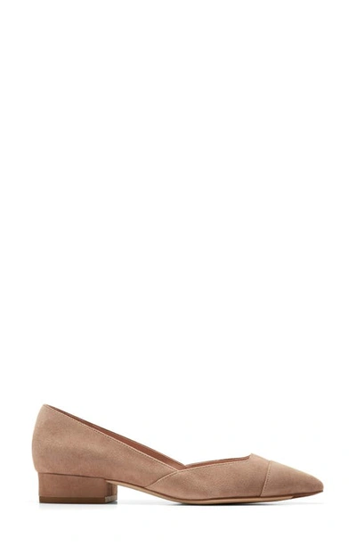 Shop Cole Haan Vanessa Pointed Toe Skimmer In Lt Whiskey