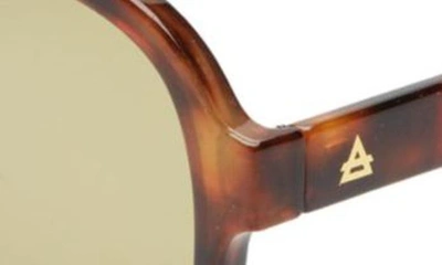 Shop Aire Whirlpool 53mm Aviator Sunglasses In Tort / Khaki Tint
