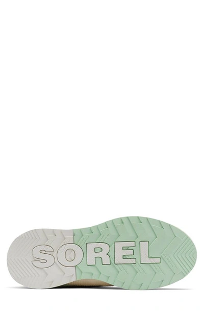 Shop Sorel Out N About Iii Waterproof Boot In Dove/ Sea Sprite