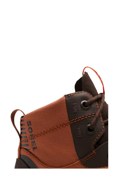 Shop Sorel Mac Hill™ Lite Rush Waterproof Boot In Wood/ Blackened Brown