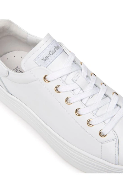 Nerogiardini Bow Skater Platform Sneakers W/ Bow, White In White