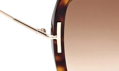 Shop Tom Ford Joanna 59mm Gradient Butterfly Sunglasses In Shiny Havana Rose Gold / Brown