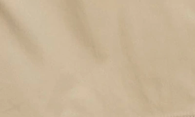 Bernardo Cotton Twill Trench Coat In Beige