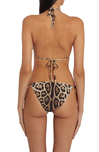Shop Dolce & Gabbana Side Tie Bikini Bottoms In Leo