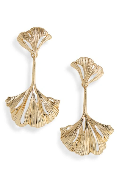 Shop Nordstrom Ginkgo Leaf Drop Earrings In Gold