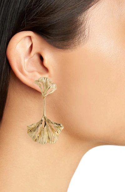 Shop Nordstrom Ginkgo Leaf Drop Earrings In Gold