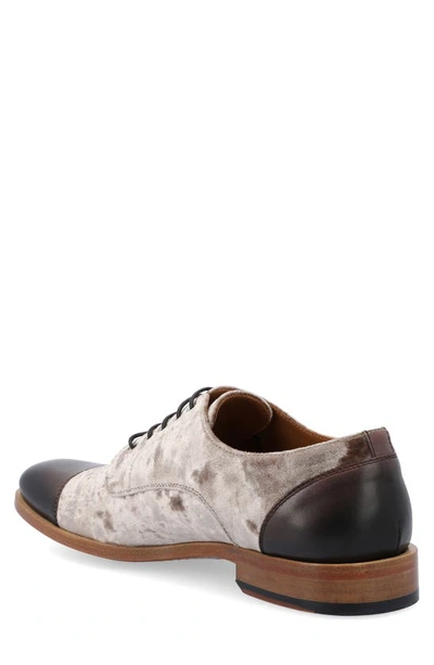 Shop Taft Jack Oxford In Champagne/ Brown