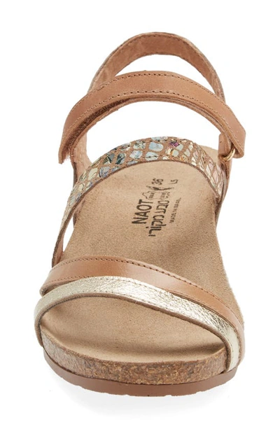 Shop Naot Hero Strappy Wedge Sandal In Gold/ Tan/ Floral/ Latte