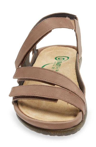 Shop Naot Whetu Water Repellent Sandal In Oily Bark Nubuck