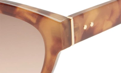 Shop Bp. Cat Eye Sunglasses In Tortoise