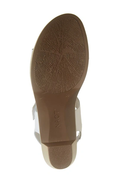Shop Naot Mode Sandal In White/ Soft Ivory/ Latte/ Gold