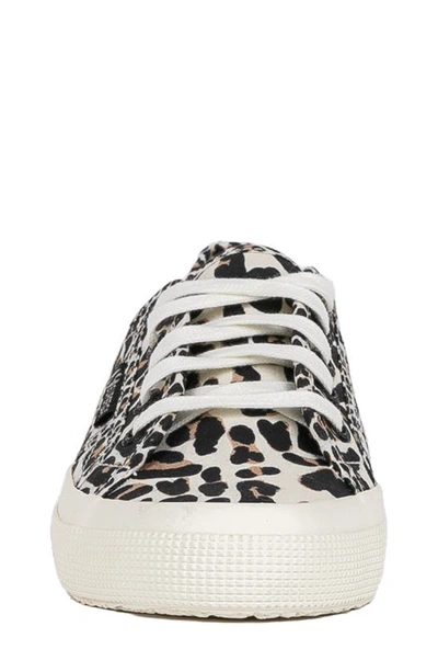 Shop Superga 2750 Sneaker In Light Beige Leopard Avorio