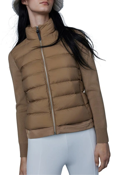 Shop Mackage Oceane Knit Sleeve 800 Fill Power Down Puffer Jacket In Dark Camel