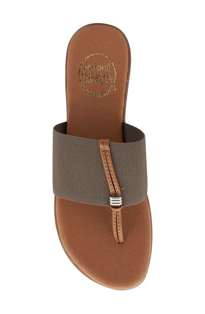 Shop Andre Assous Nice Featherweights™ Slide Sandal In Taupe